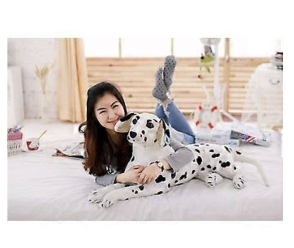 Catel de plus, Dalmatian, alb/negru, 28 cm