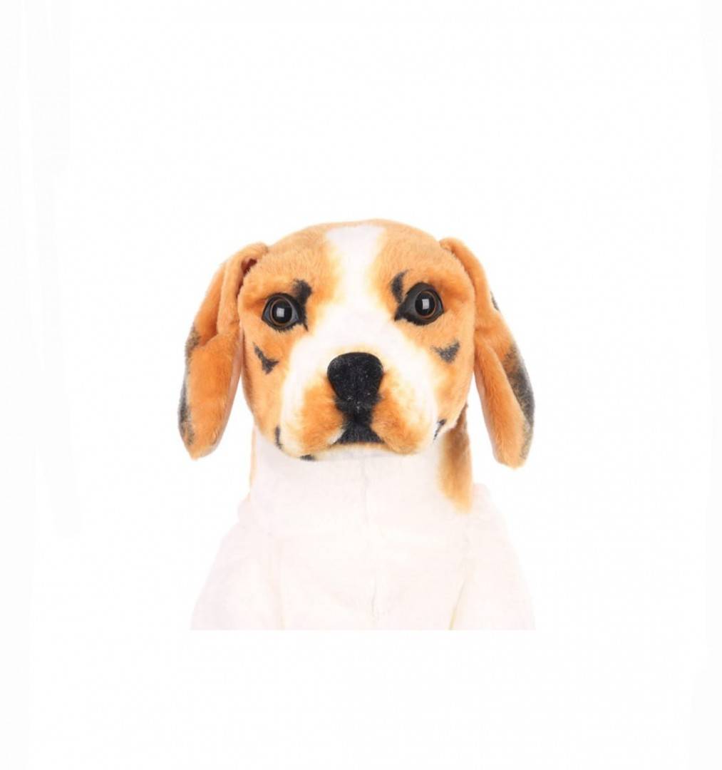 Catel de plus realist, Beagle, maro/alb, 47 cm