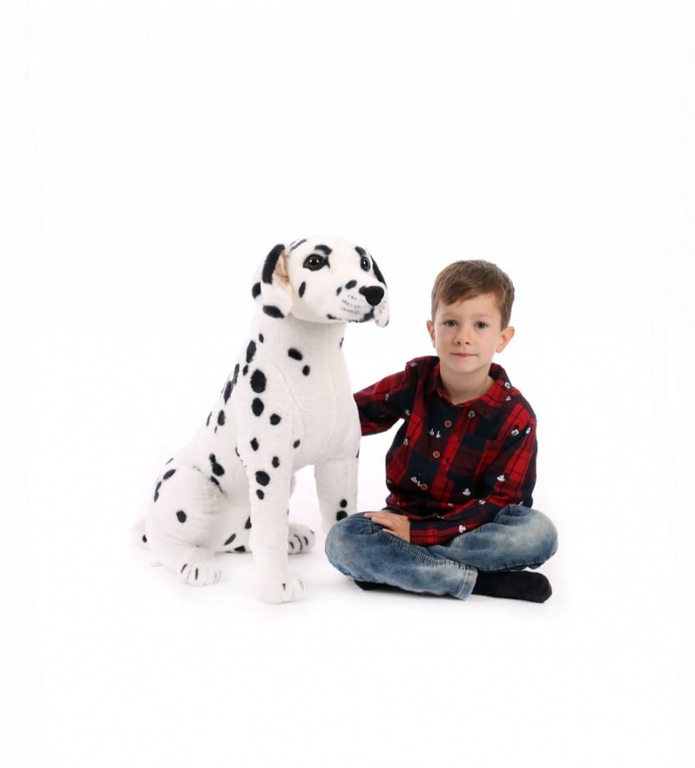 Catel de plus realist, Dalmatian, alb/negru, 75 cm
