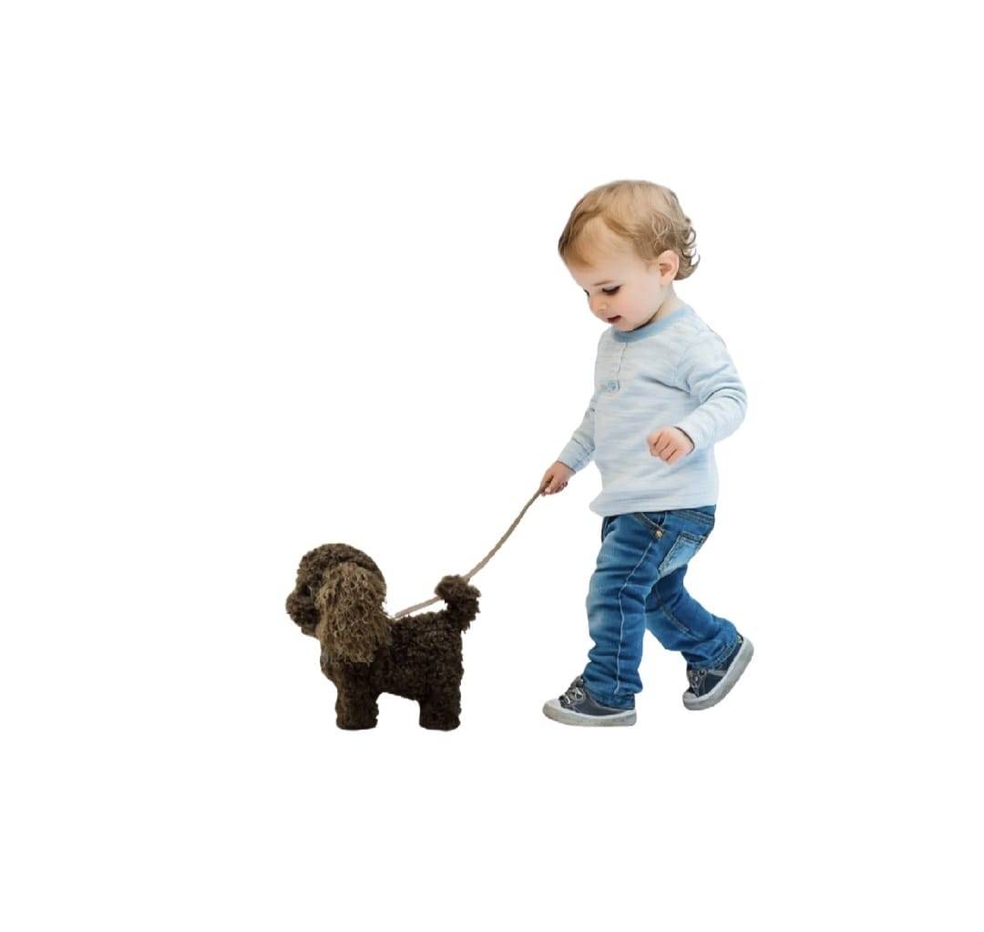 Jucarie interactiva, Catel cu lesa, MASHASHOP, merge, sunet, maro inchis, 30 cm