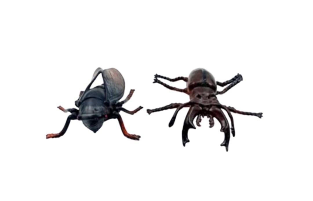  Set 6 Insecte, Animals Insects, multicolor, 11 cm